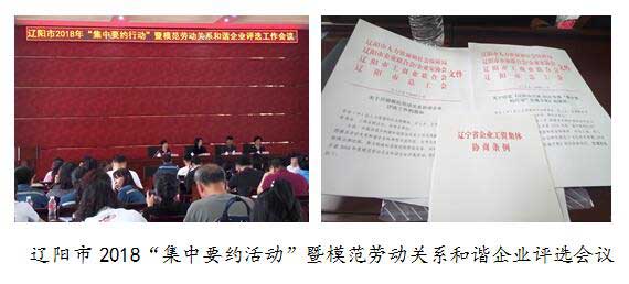 辽阳市2018“集中要约活动”暨模范劳动关系和谐企业评选会议.jpg 辽阳市2018“集中要约活动”暨模范劳动关系和谐企业评选会议.jpg